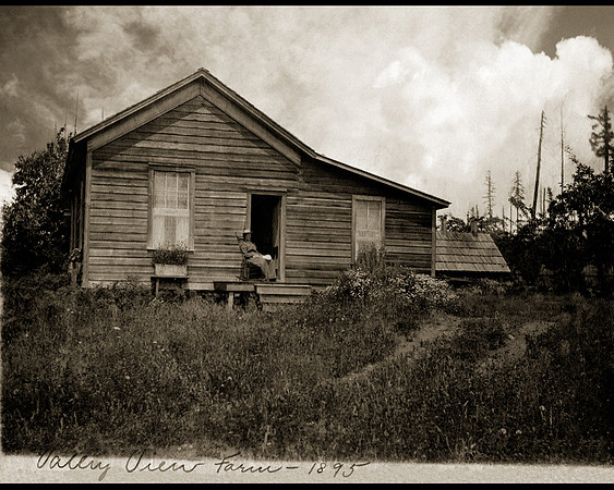Tacoma Homestead, Washington Territory, 1895